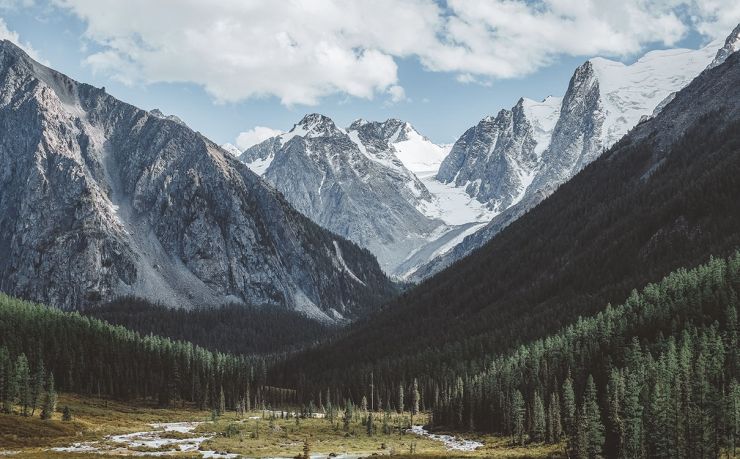 欧洲哪个国家绿卡最好拿